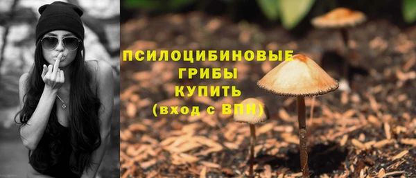 ECSTASY Абдулино