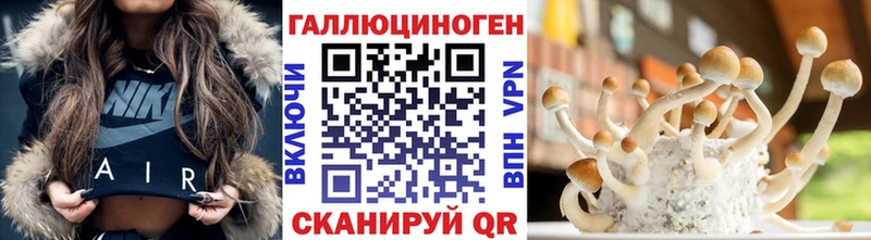 Псилоцибиновые грибы Psilocybine cubensis Яблоновский